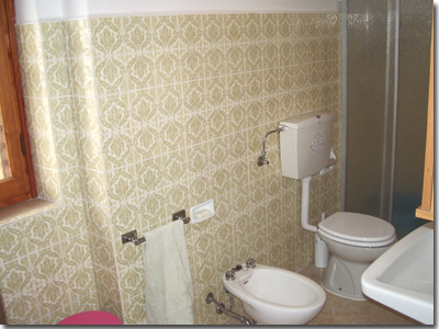 Bathroom with shower and dryhair , window , bide.
