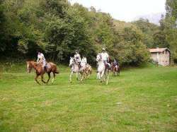 maison Menaggio locations maison de vacance vacances location Italie locations appartements et villas a louer Lac de Come Italie Menaggio location vacances appartement et maison de vacance,a louer lac Como maison vacance maisons